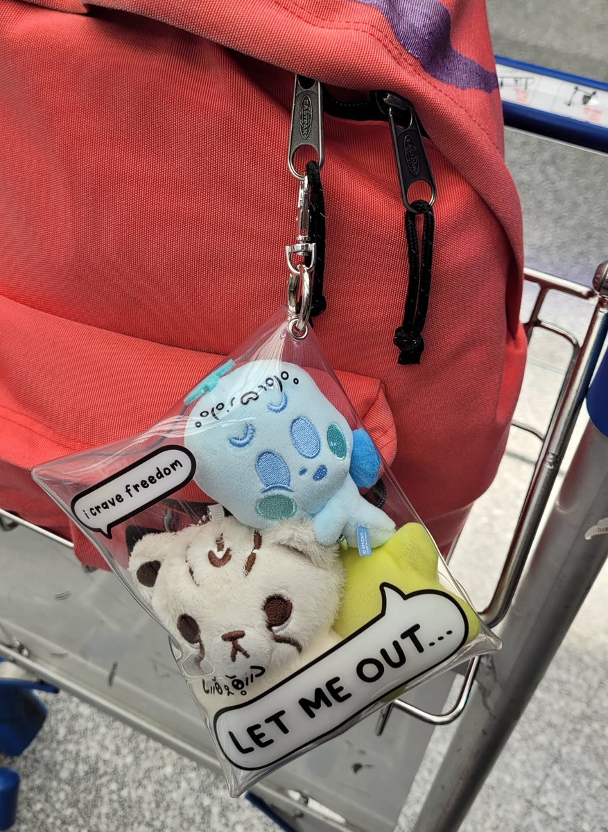 mark family is ready for take off ✈️✈️