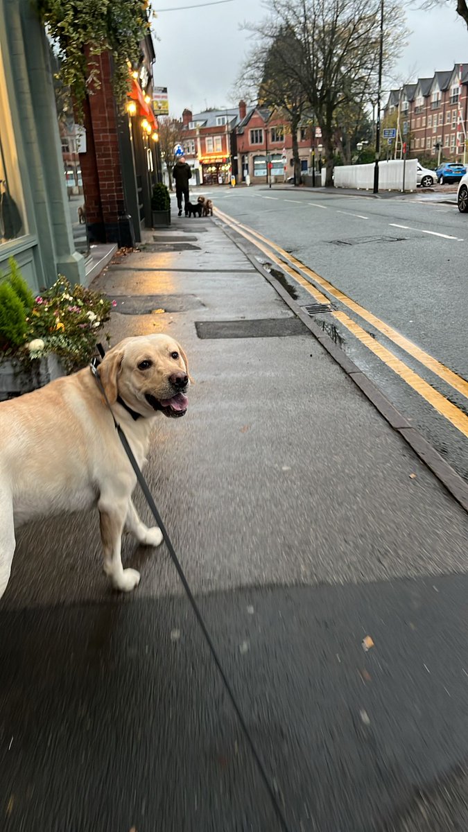 Smooth211 tweet media