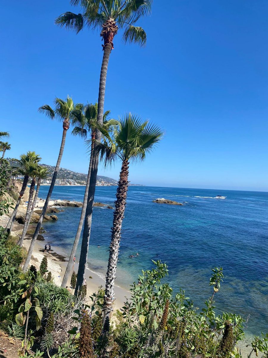 SoftwareHotlib's tweet image. Traveling to the beach is a very pleasant thing, and sunbathing is my favorite thing to do