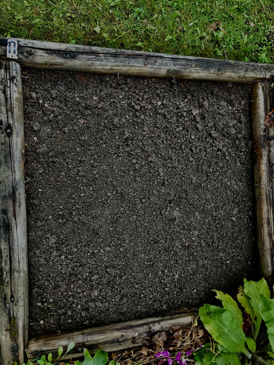 John Celona (@noirrider) on Twitter photo 