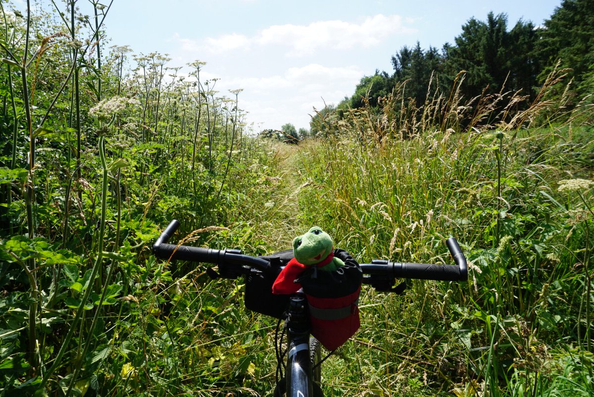 A cycle ride today that included a stretch of the Shropshire Union Canal from Norbury Junction to Codsall. Some great scenery along the way but the towpath after Brewood took some navigating - the triffids were out in force.