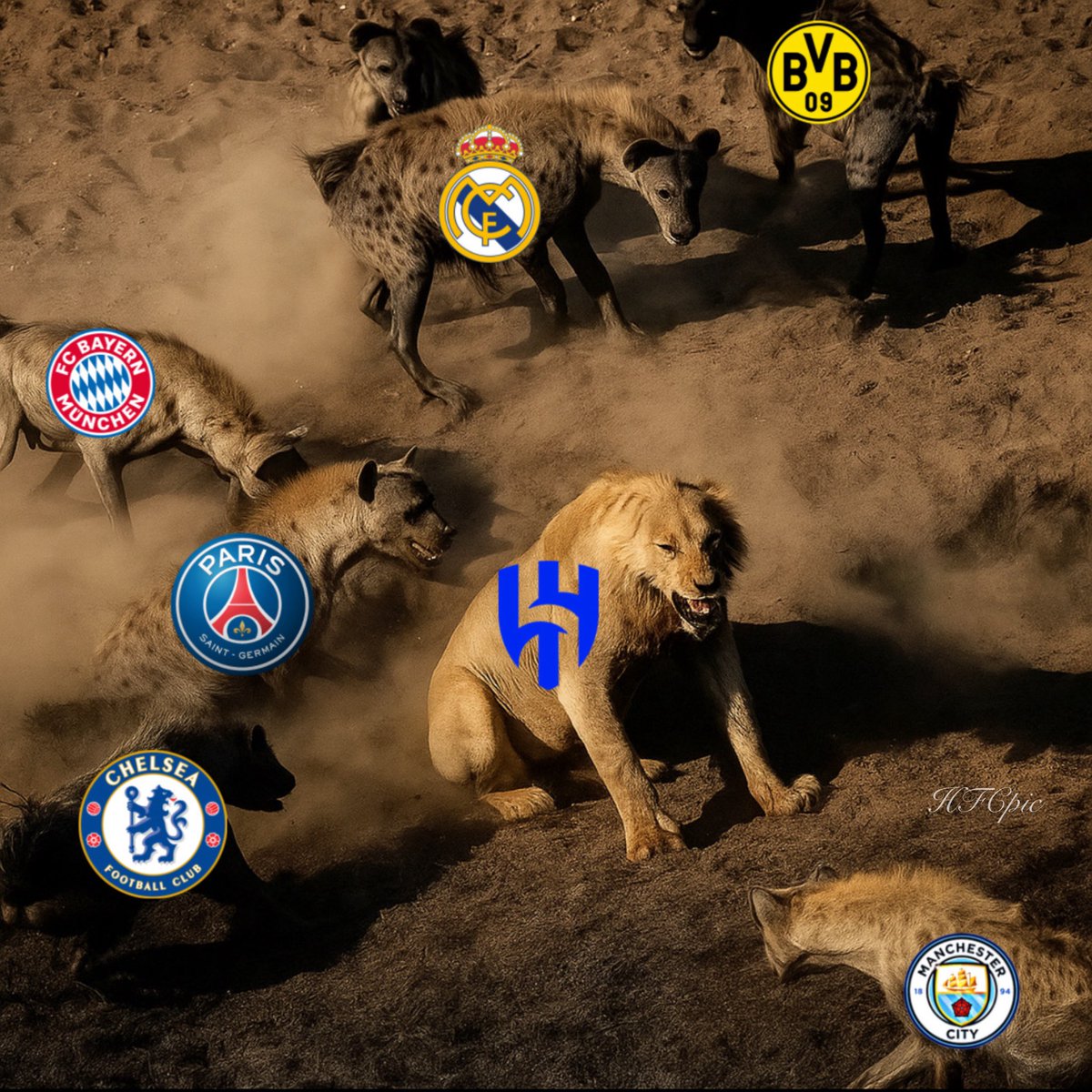 Asayel (@hfcpic) on Twitter photo 