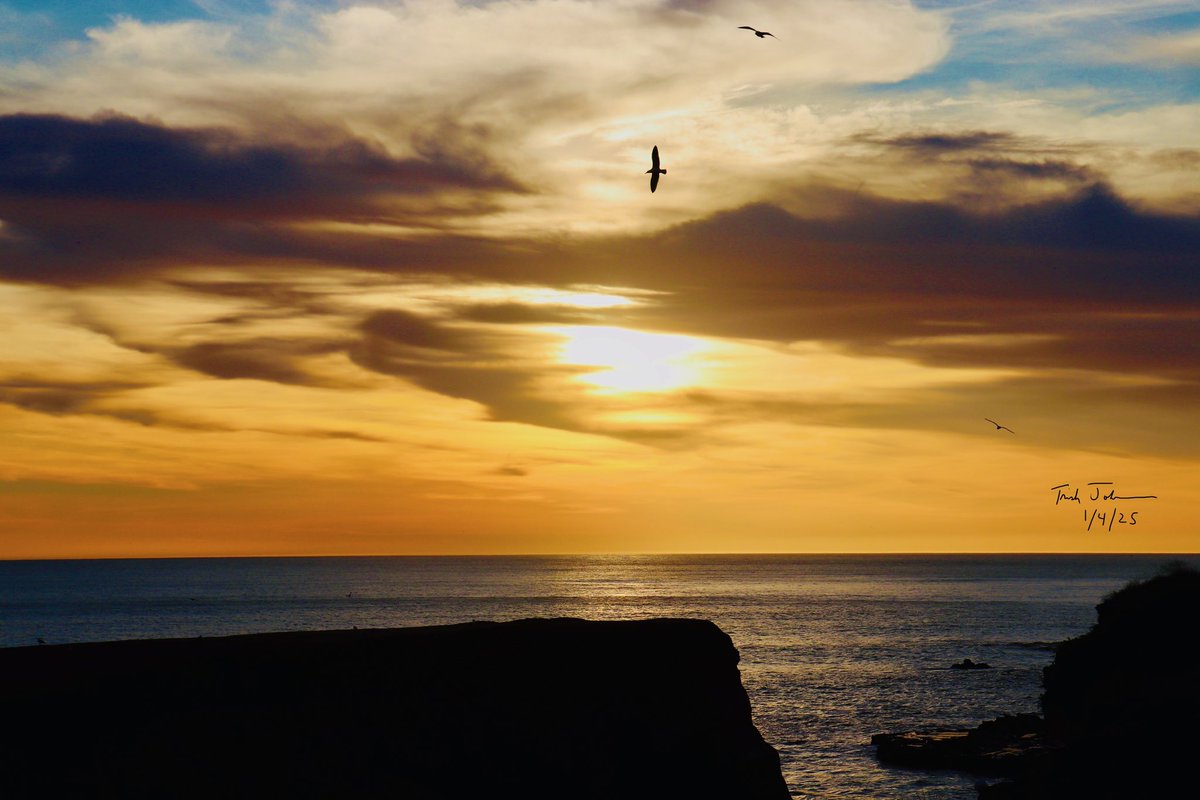 trish johnson tweet media