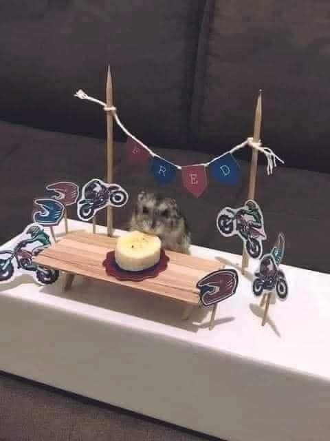 Tendrás el peor mes si no felicitas a Fred.