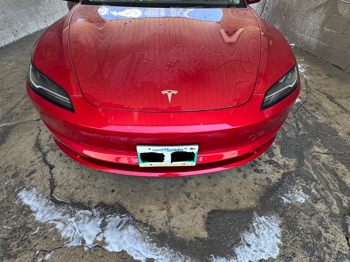 domcanada's tweet photo. @niccruzpatane @Drive_Protected Before and after. Love the @Drive_Protected PPF! https://t.co/4e6idU14gM