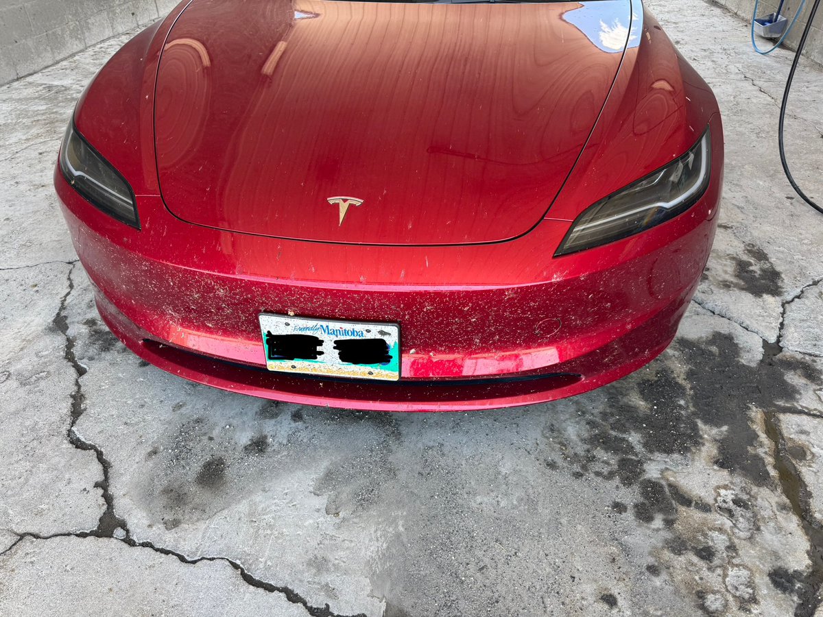 domcanada's tweet photo. @niccruzpatane @Drive_Protected Before and after. Love the @Drive_Protected PPF! https://t.co/4e6idU14gM