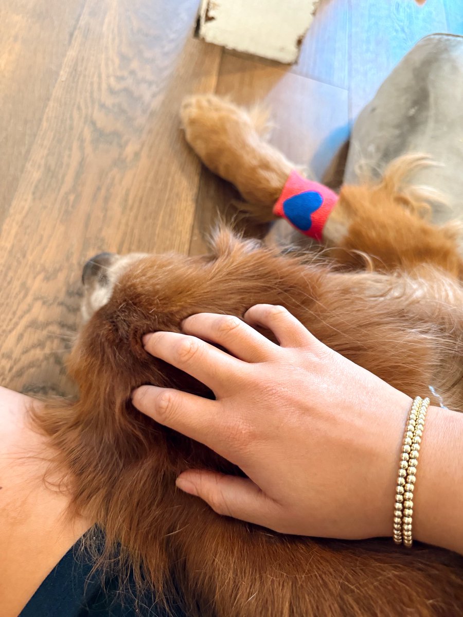 Camilluh tweet media