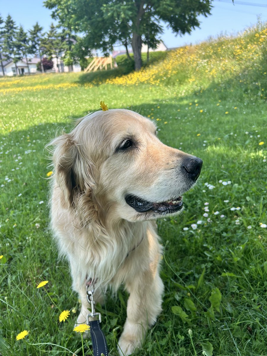 今日から7月ですね♪ワクワクソワソワのイベントが控えているので、今月もあっという間に過ぎて行きそうな予感です🤭張り切っていきましょう！