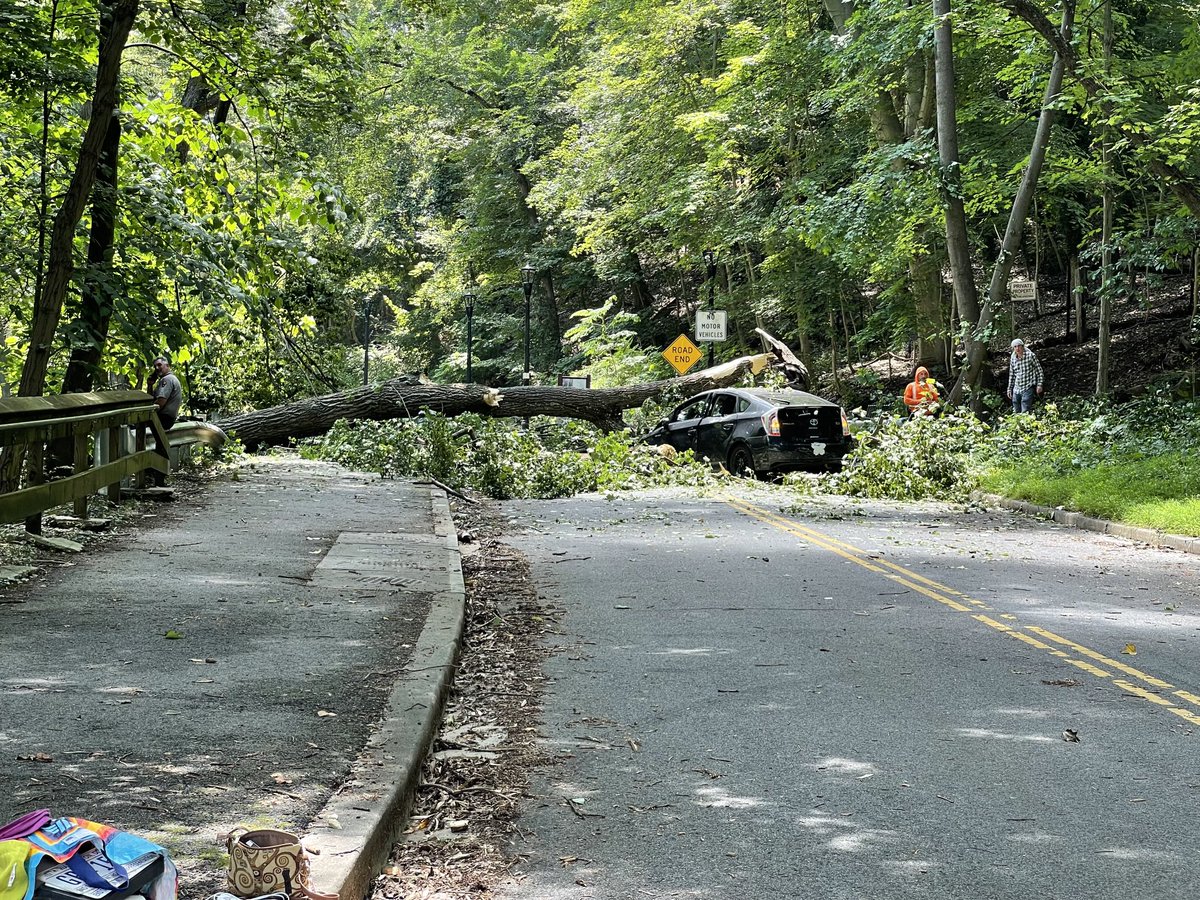 paulcwagner's tweet image. New-driver narrowly misses being injured when a tree toppled onto her car today on Klingle Road NW. The woman declined to give her name but said if someone had been in the passenger seat they would likely have been killed. Car is totaled. Happened just off Porter Street.