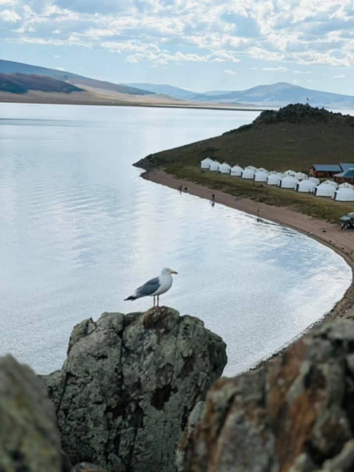 Өглөөний мэнд

Тэр их цагаан нуур