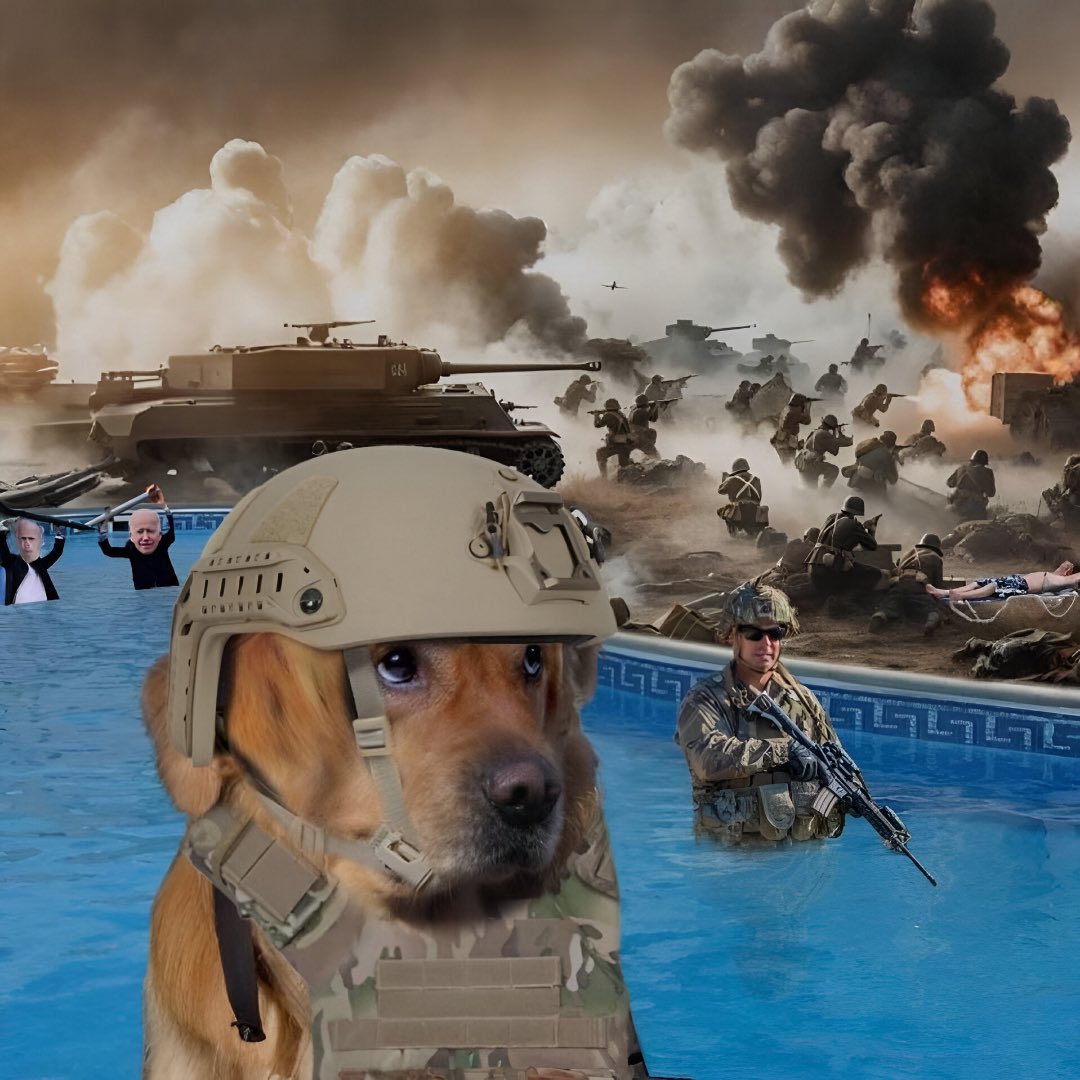 _Flayzzz's tweet image. Trenches are fun and all but it’s time to hit my 50 daily $DIP raid

Get ready to smash them gang