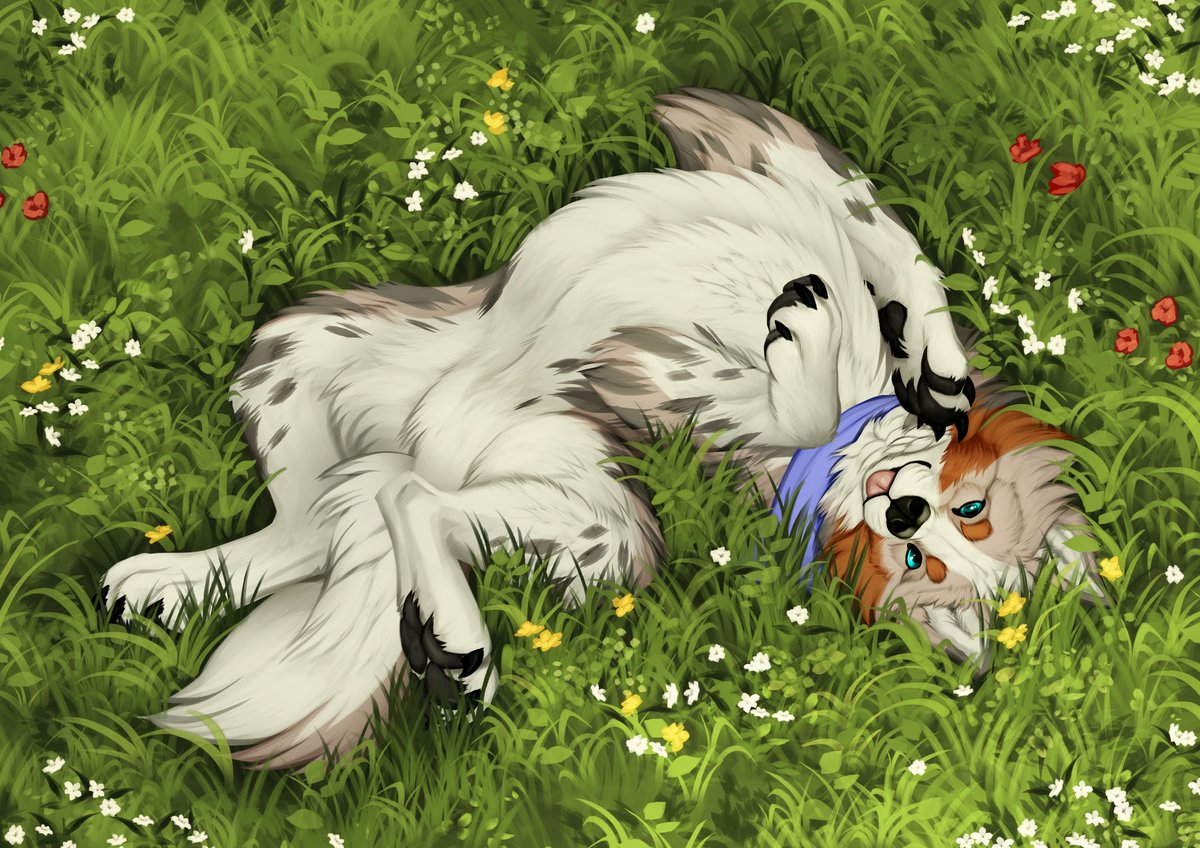 cattledoggo's tweet image. Would anyone want to give me some belly rubs?? *gives Puppy eyes* 🐶 🥺

Amazing artwork by @kajirra 🥰