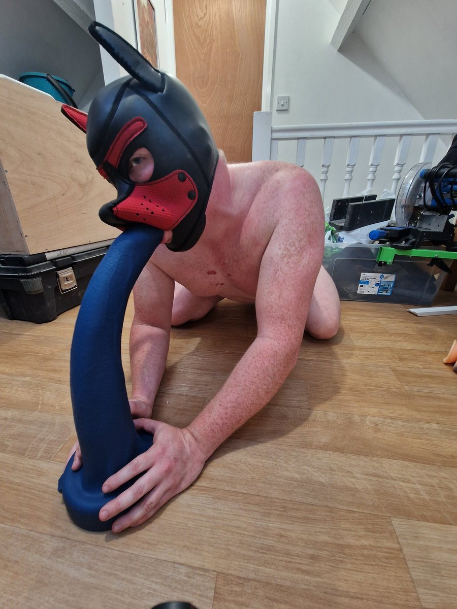 WelshFistingPup's tweet photo. Feeling Horny x woof #bdsmِ #pupplay #chastity https://t.co/y5Z43N7TpX