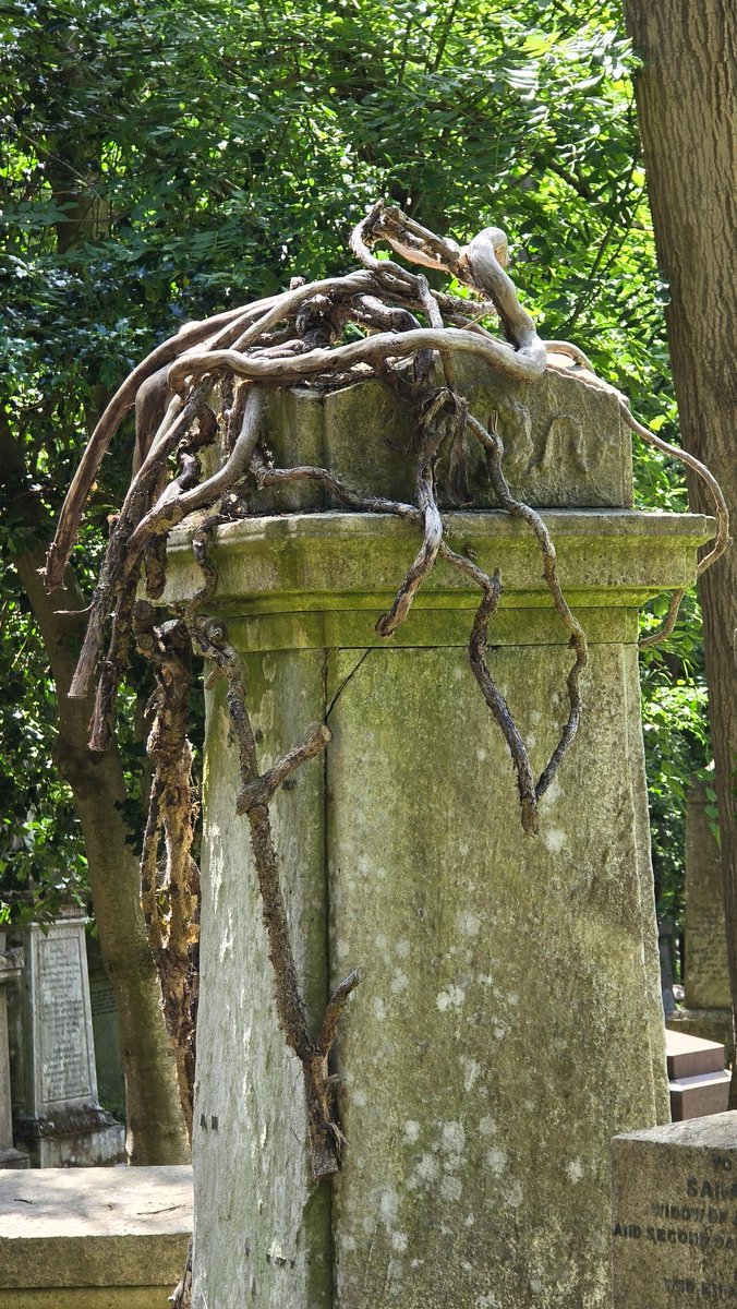 The tentacles of Highgate!