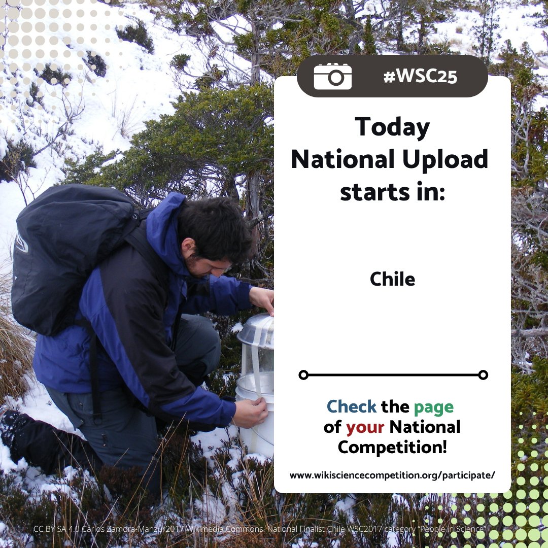 Science&Wiki (@wiki_science) on Twitter photo 🚨Starting national upload from 🇨🇱 !🚨
Please check the summary page for more information.
👉wikisciencecompetition.org/participate/
Other ountries will start in November or December, just wait to upload and don't use the general upload form. #WSC2025 #WSC25 💊🐁🦋🌵🌴🔬☢️🌘🔭📸💻👨🏼🔬👩🏽🔬🧑🏻🔬 🚨Starting national upload from 🇨🇱 !🚨
Please check the summary page for more information.
👉wikisciencecompetition.org/participate/
Other ountries will start in November or December, just wait to upload and don't use the general upload form. #WSC2025 #WSC25 💊🐁🦋🌵🌴🔬☢️🌘🔭📸💻👨🏼🔬👩🏽🔬🧑🏻🔬