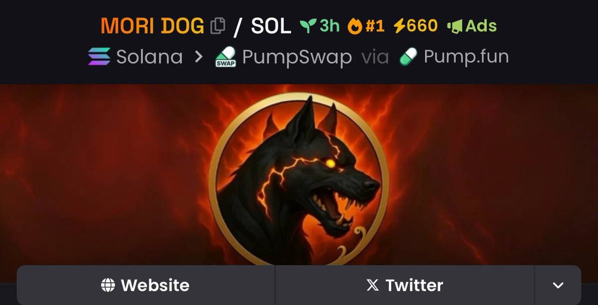 MORI DOG tweet media