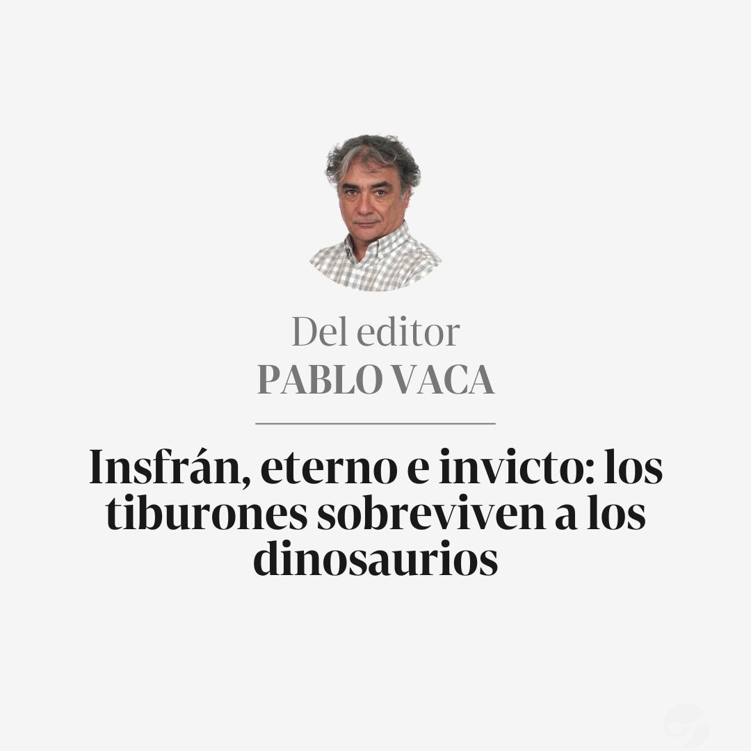 DEL EDITOR | El gobernador de Formosa lleva siete reelecciones y abrió la puerta para dos más: sumaría 40 años en el poder. 

✍️Leé la columna de <a href="/pablorvaca/">Pablo Vaca</a>  clar.in/3Ti0jr2