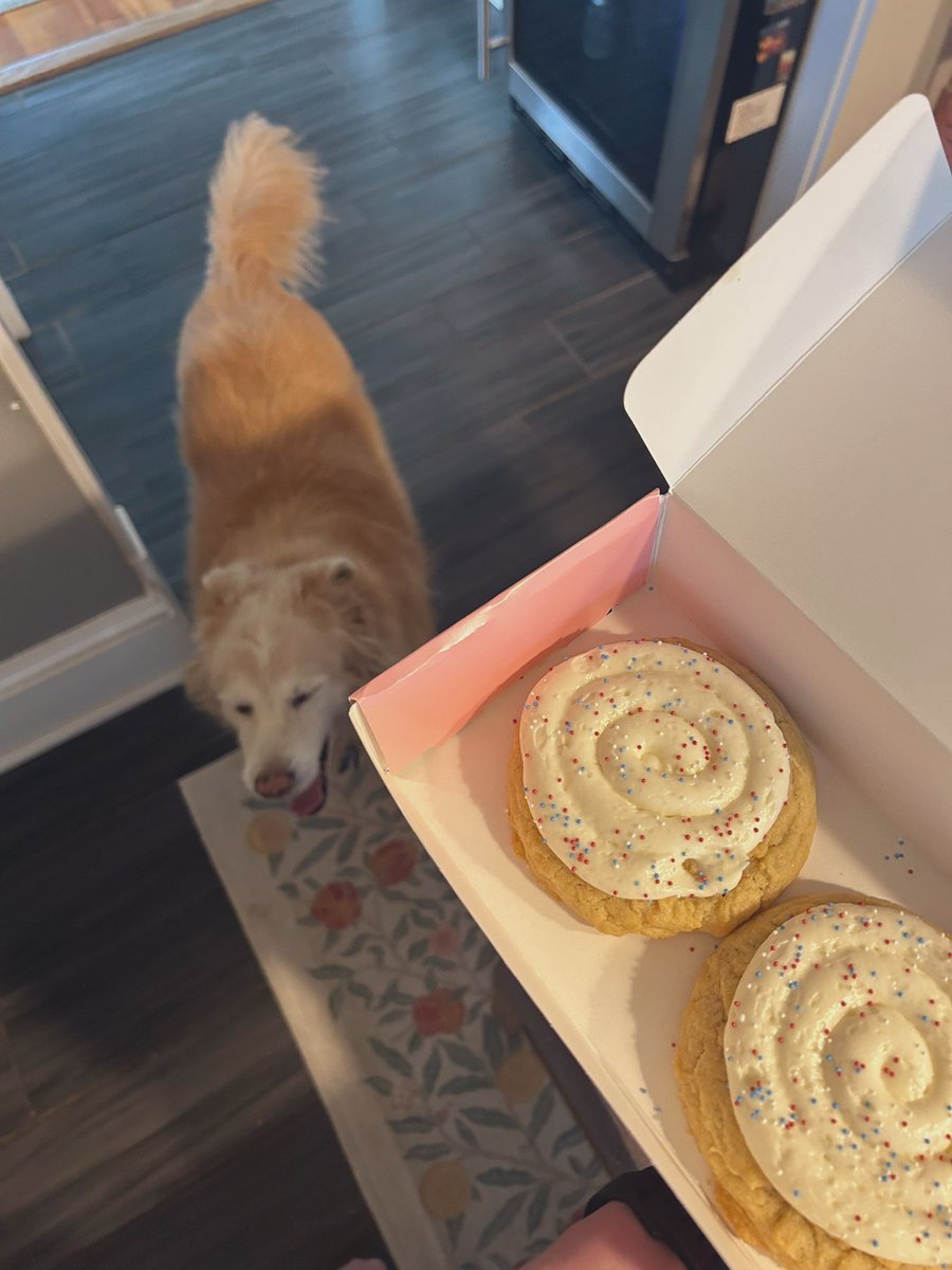 AlfredoHatesLy's tweet image. Resist or regret… Ugw bmi ricecaketwt anatwt fatspo thinspo meanspo edtwt ed omad lw cw hw miatwt comparisonspo egospo edtt fasting cals womenkissing