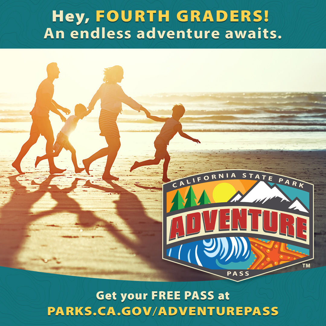 Calling all fourth-grade students and their families! 🌲🏞️☀️ Check out these amazing passes to enjoy California state parks, providing free entry for fourth graders and their families at select state parks. parks.ca.gov/AdventurePass
Adventure awaits! 🚗🌿🌄