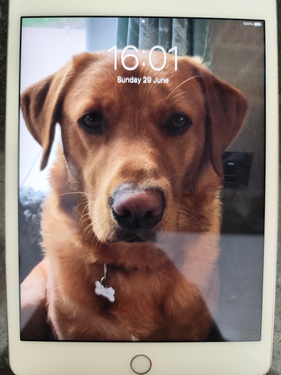 Rebecca Ryder π (@rebecca_ryder21) on Twitter photo My brother was recently gifted this iPad at work.
Unfortunately it has someone's info on and a passcode.
What do we do? There doesn't seem to be a way to contact the owner to check if it's stolen and/or get them to remove the code.
There's no <a href="/AppleSupport/">Apple Support</a> store where I am. My brother was recently gifted this iPad at work.
Unfortunately it has someone's info on and a passcode.
What do we do? There doesn't seem to be a way to contact the owner to check if it's stolen and/or get them to remove the code.
There's no <a href="/AppleSupport/">Apple Support</a> store where I am.