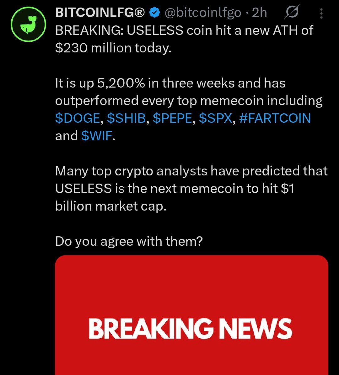 Winszn 🌊🐬 tweet media