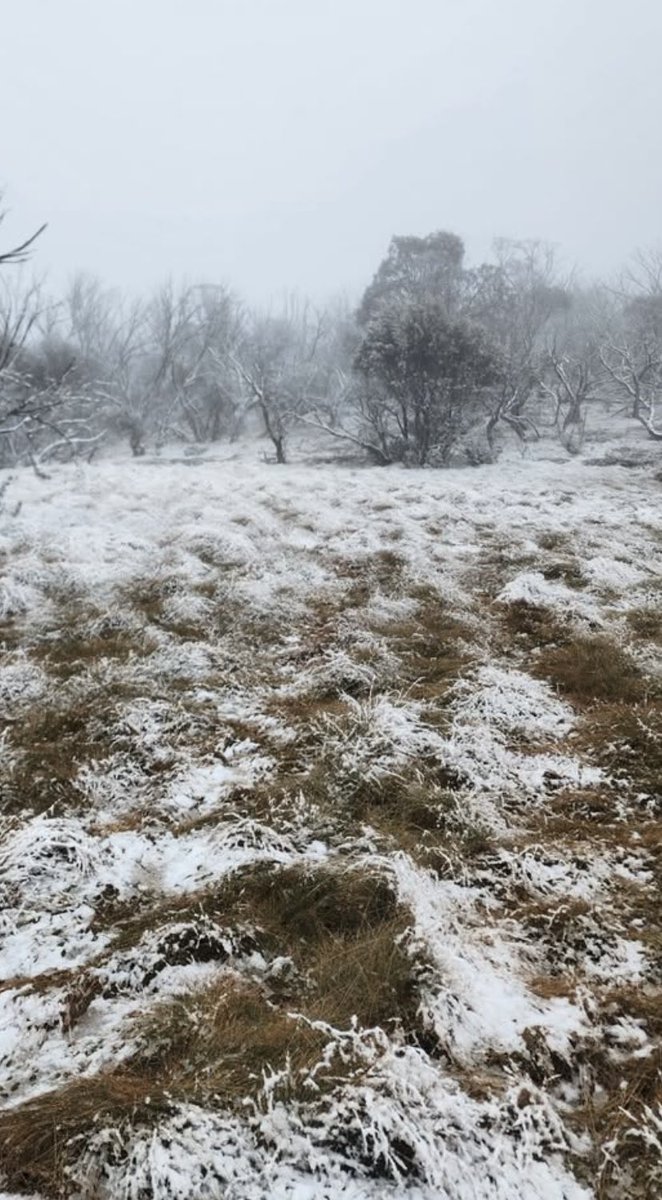 Field pracs are very picturesque in the morning 🥶