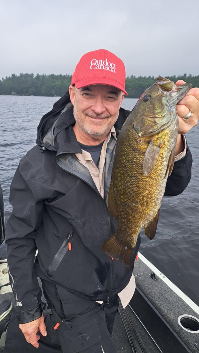 Patrick Walsh tweet media