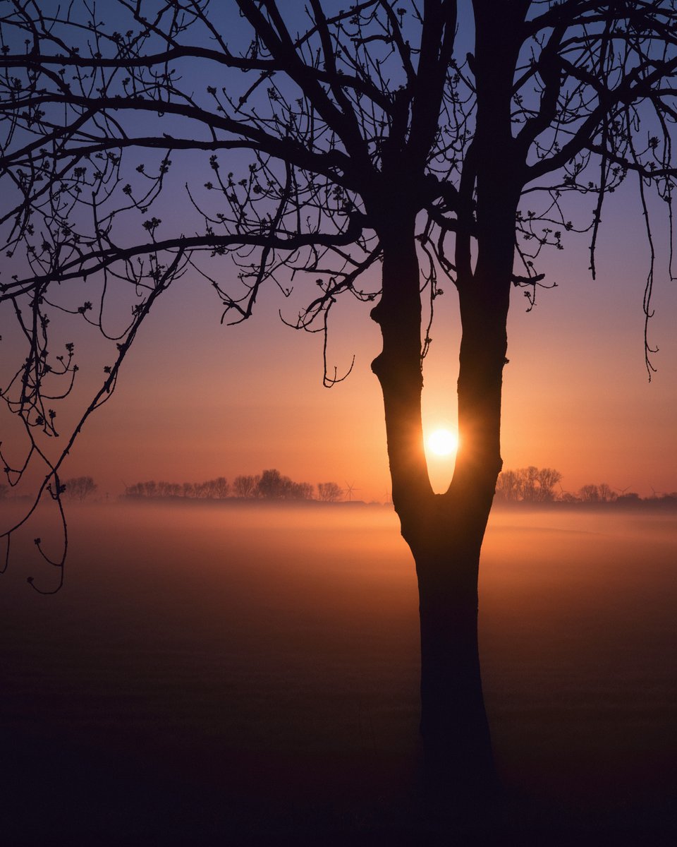 Atmospherics tweet media