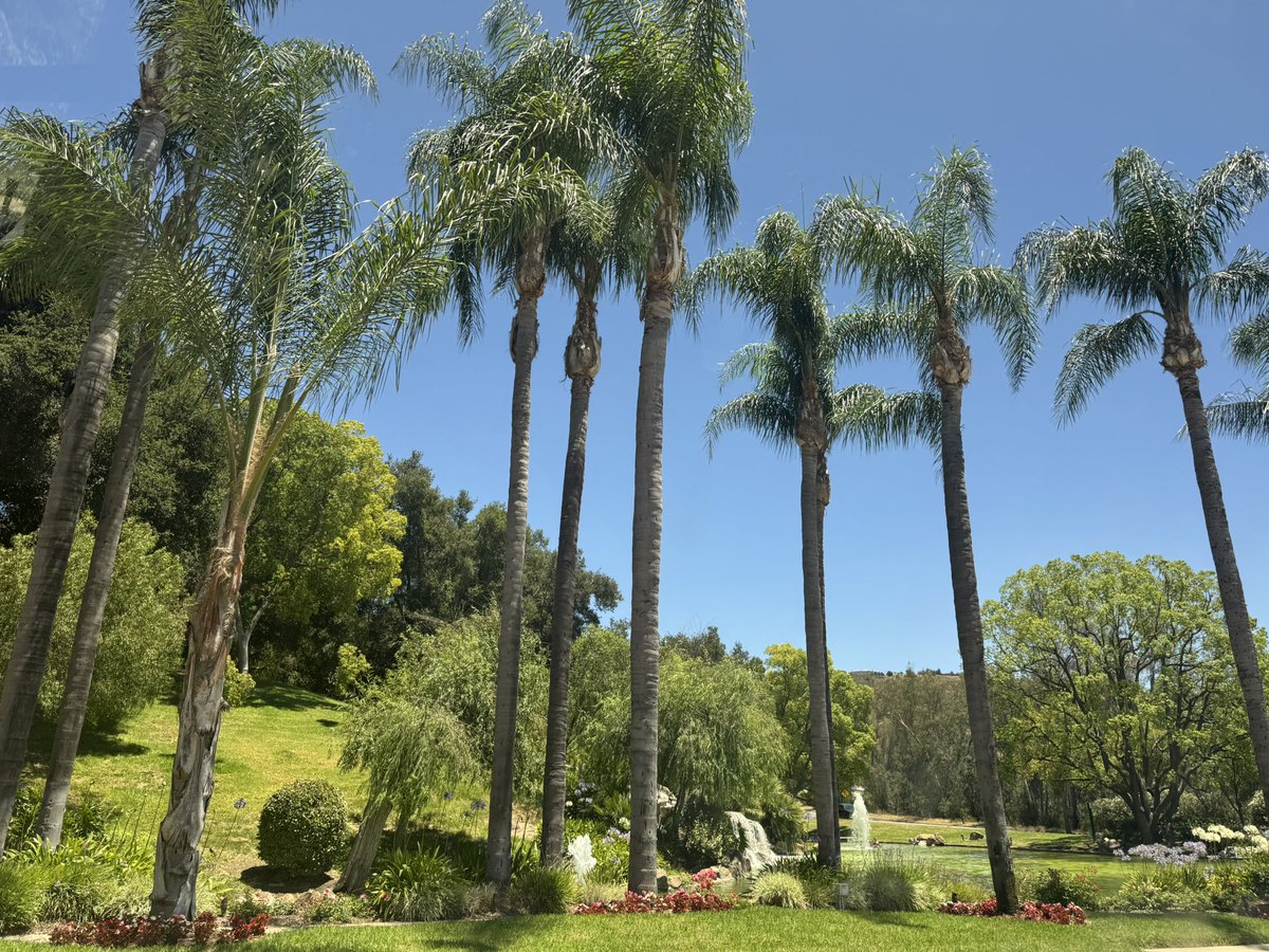 nomanxal's tweet image. Keep your GPs close but your LPs closer.
LA/Calabasas for the weekend