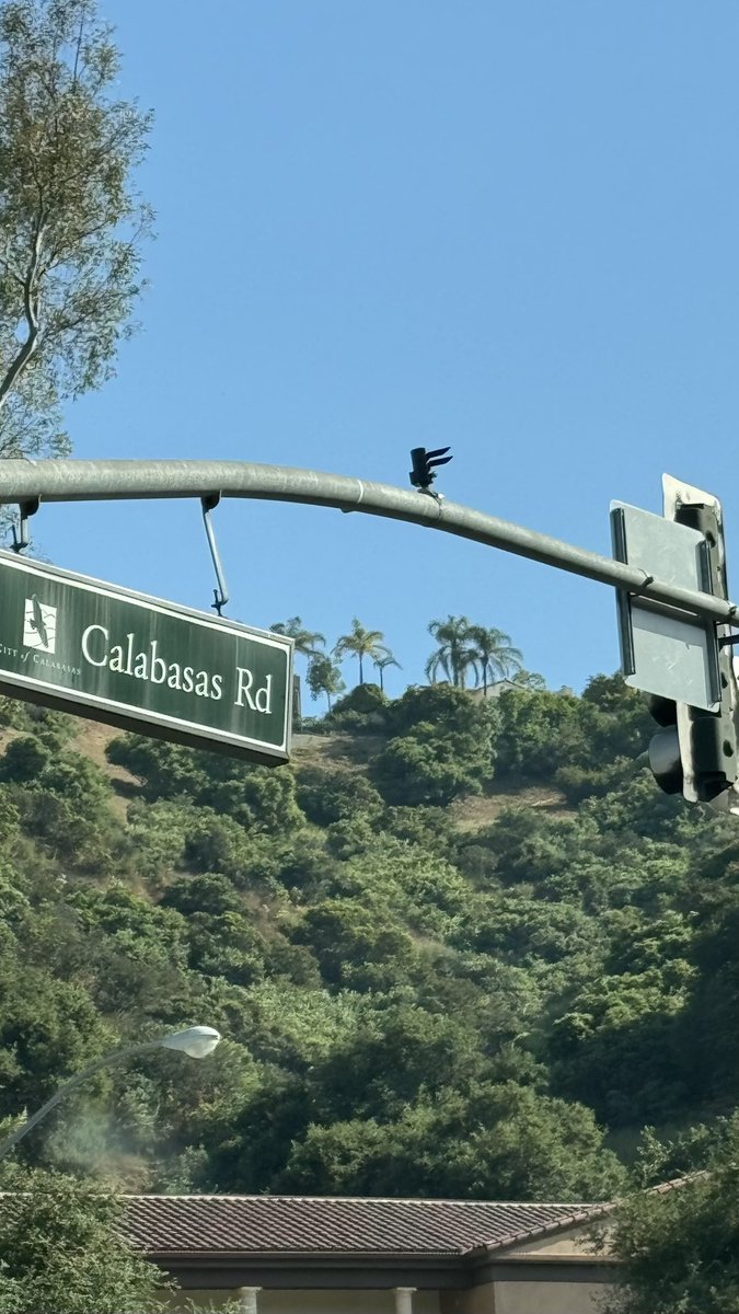 nomanxal's tweet image. Keep your GPs close but your LPs closer.
LA/Calabasas for the weekend