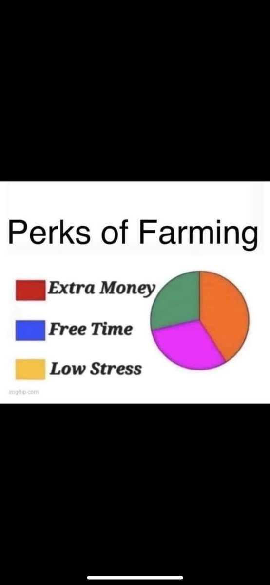 Dennis Clarke tweet media