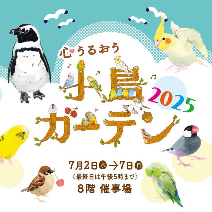 ／
心うるおう #小鳥ガーデン2025✨
＼

今年は夏開催にちなんで、水愛でる #ペンギン＆#あひる に注目！人気の小鳥作家が大集合し、かわいいアクセサリーから小鳥雑貨までたくさんのアイテムが揃います！🐧🪿🦜💫

➤web.hh-online.jp/hanshin/conten…

7月2日(水)→7日(月)
8階 #催事場
最終日は午後5時まで