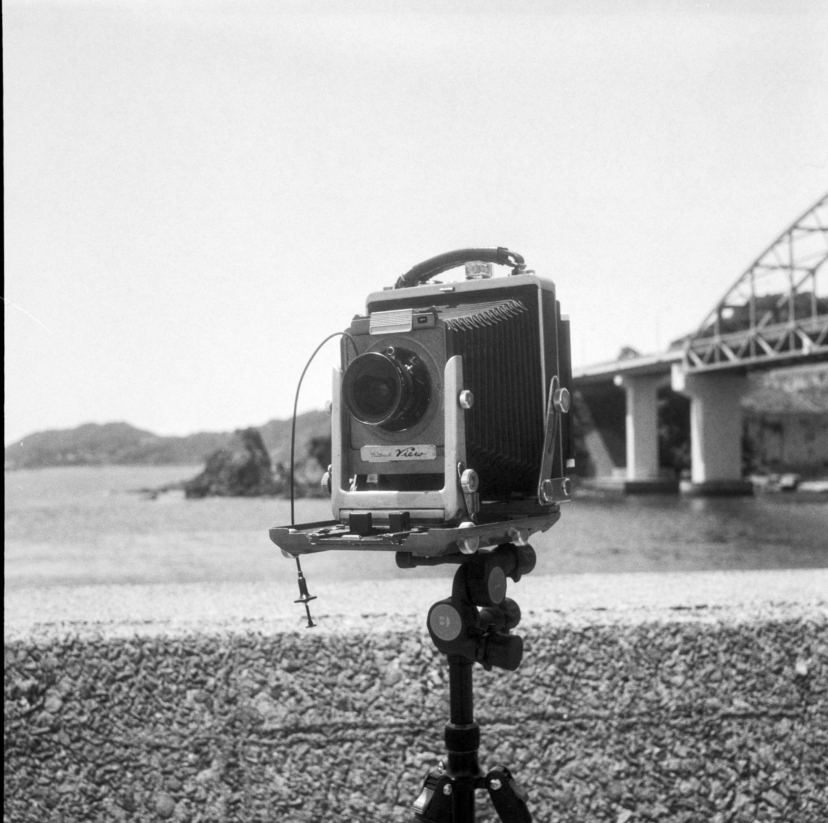 FilmBearPhoto's tweet photo. Mamiya6で撮ったRittreck View
最近、5x7フィルムホルダーで遊びまくってたせいで、大判のWISTA45ちゃんを構ってあげられてなかった…
今度お外に連れてってあげなければ。
#Mamiy6 #RittreckView #大判活動 https://t.co/egKOpoN4B3