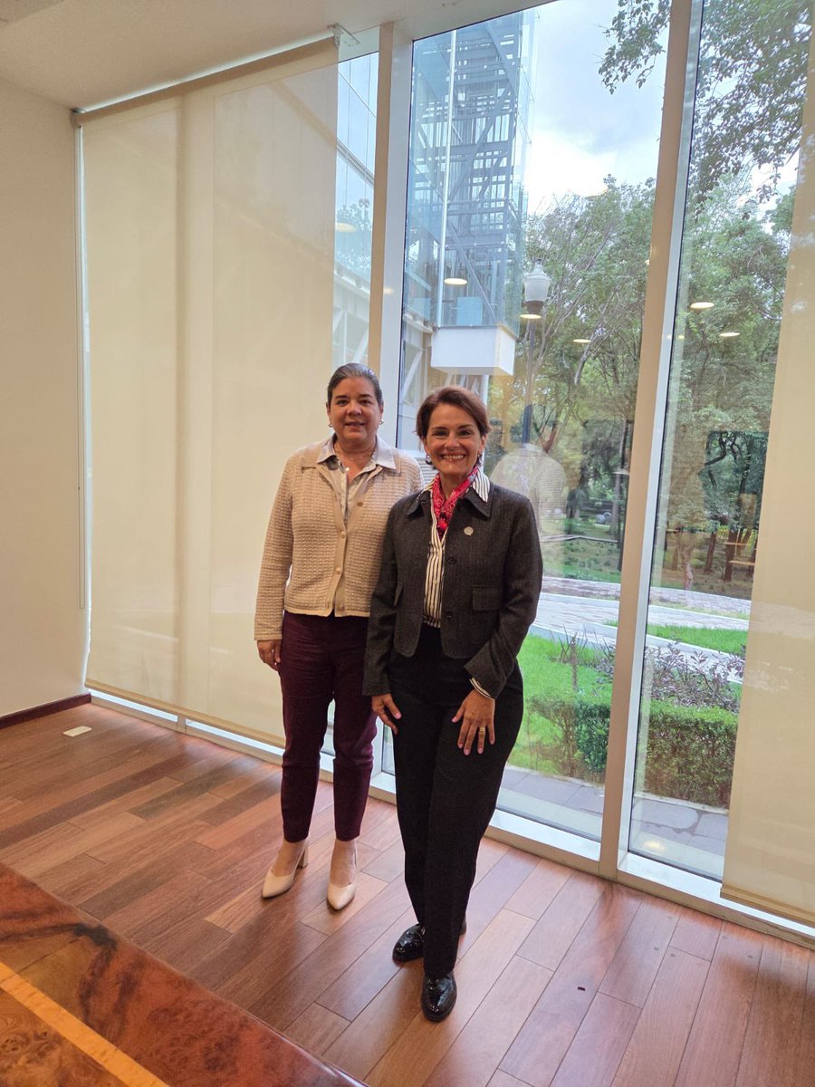 Hoy tuvimos una fructífera reunión con <a href="/sonyasantosg/">Sonya Santos</a>, Directora General de <a href="/Fonart_mx/">FONART</a>, para fortalecer el impulso a las y los artesanos mexicanos a través de CorreosClic.gob.mx nuestra plataforma digital que conecta directamente a compradores con productos auténticos, sin