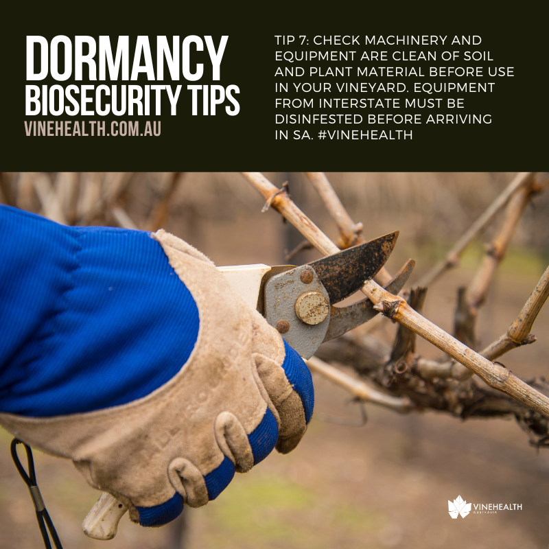 Dormancy Tip #7: Check machinery and equipment are clean of soil and plant material before use in your vineyard. Equipment from interstate must be disinfested before arriving in SA: vinehealth.com.au/rules/state-mo…  #Vinehealth