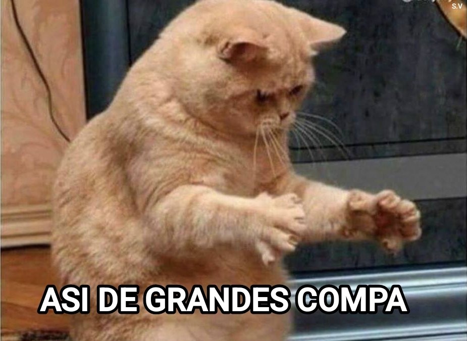 ABBADON_zz's tweet photo. @Dios_0ficial que delicia https://t.co/5xdVhfExYS