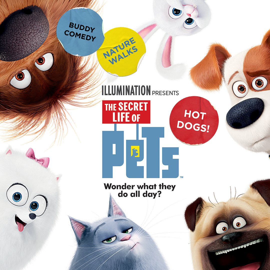 UniversalPics's tweet image. Cool off with this week's summer movie recommendations.