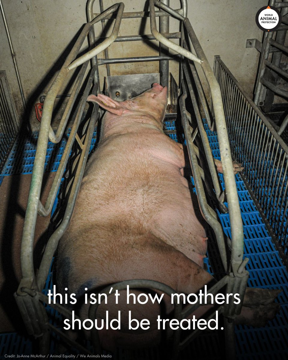 Mothers deserve better. 💔