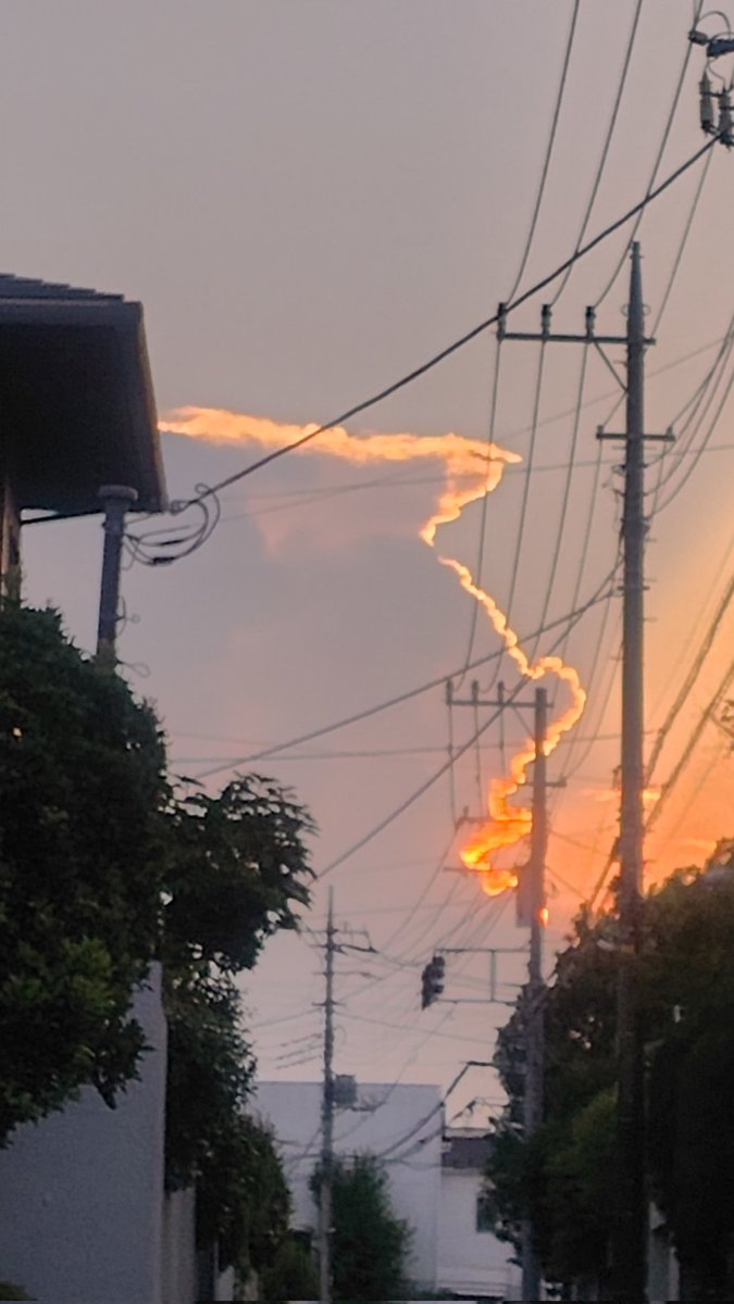 riooooone's tweet photo. 夕日に照らされる雲。
電線邪魔だし拡大し過ぎてボケてるし、でも撮り直し一生無理だからこれで我慢。 https://t.co/3tvHutln76