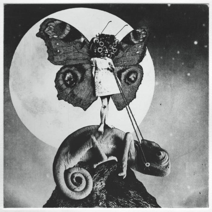 A Grapevine Feature 
The Blab Blog: Blablists 
May 2025: Top 501 Albums of All Time: 2025 Version
334. The Exaltics - The Girl and The Chameleon                           
solaronemusic.bandcamp.com/album/the-girl…