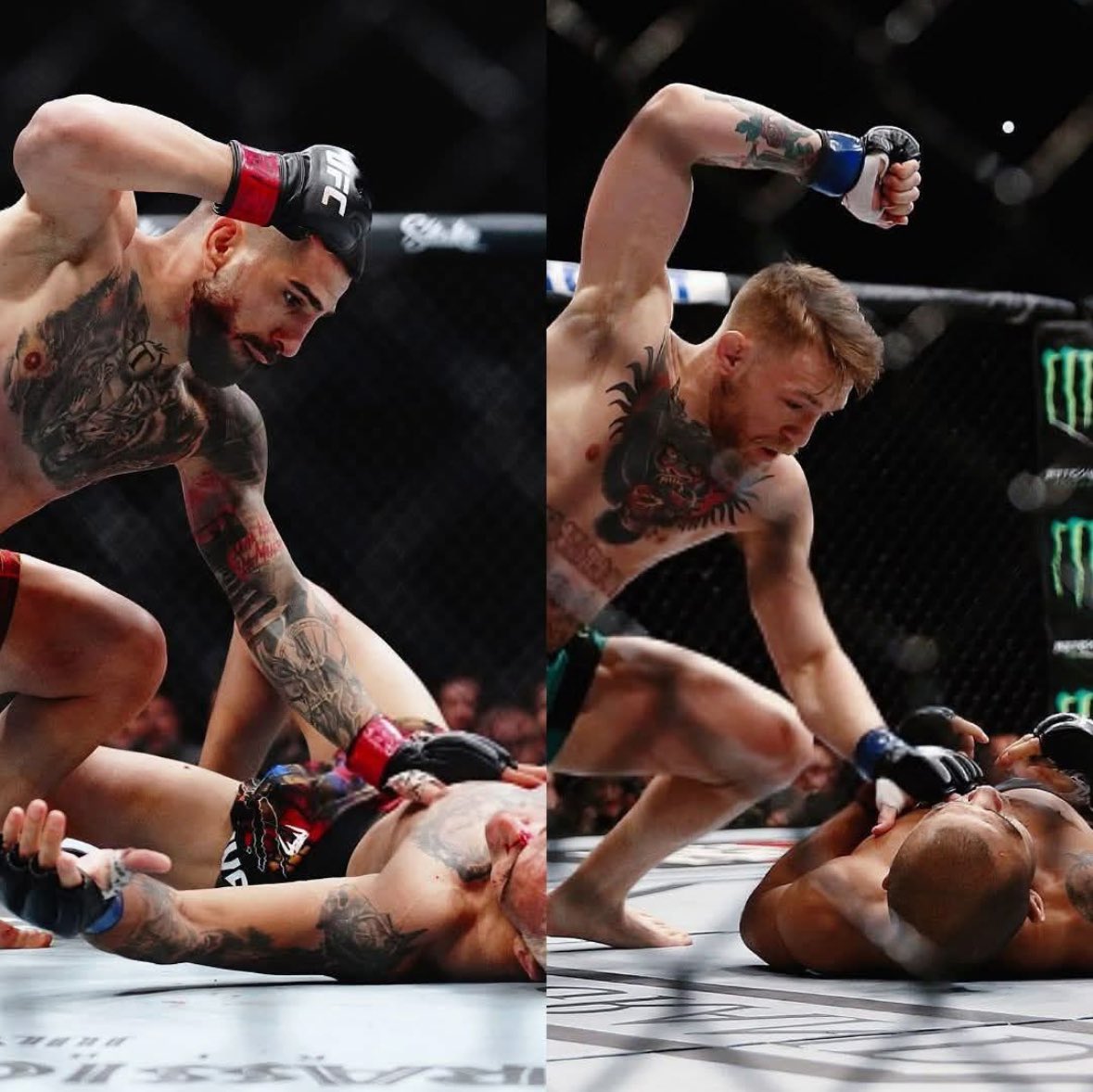<a href="/CovMMACentel/">MMACentel</a> <a href="/TheNotoriousMMA/">Conor McGregor</a> Crazy lol