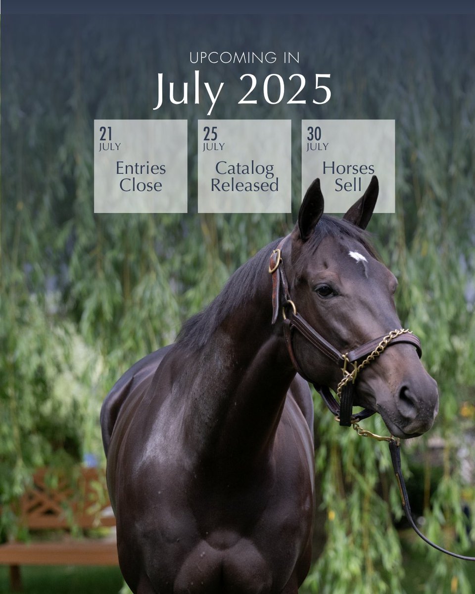 July Sale will be here faster than you know it.

🏇 Mark your calendars and register to bid now.