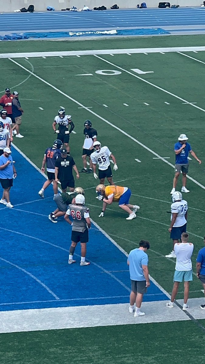 Jude Wallace tweet media