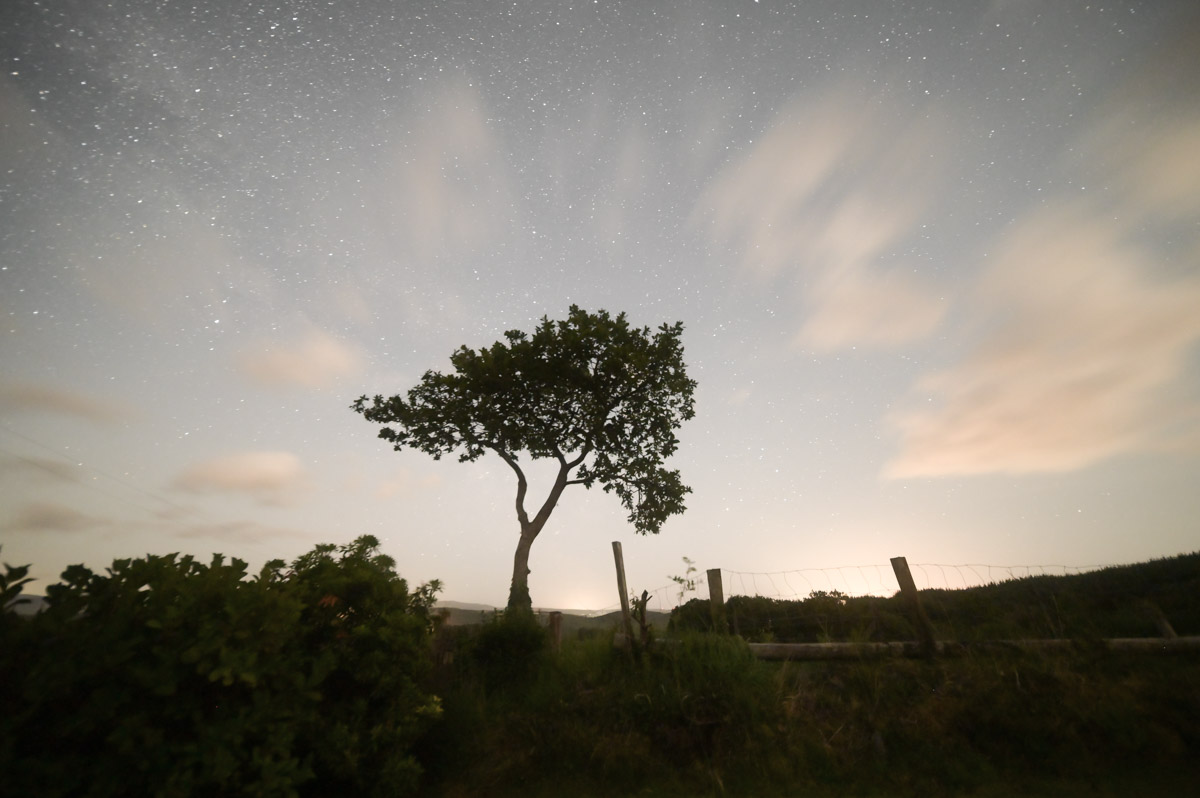 Michael Meade tweet media