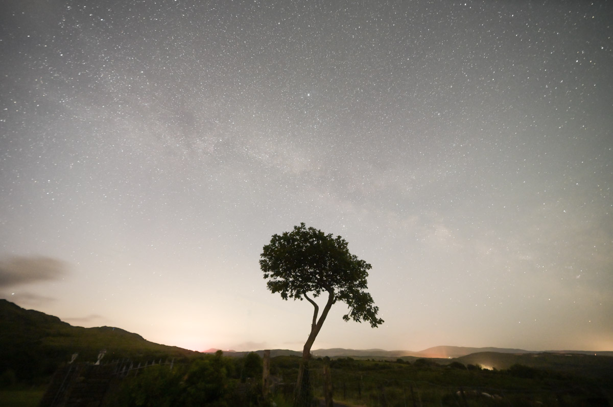 One tree, two perspectives. Always a good idea to see things from a different perspective. Images taken in West Cork. #perspective