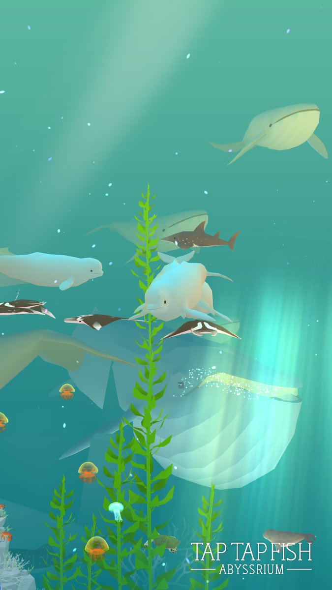 beluga_250607's tweet photo. #アビスリウム
#abyssrium https://t.co/GPc7D2yUaF
