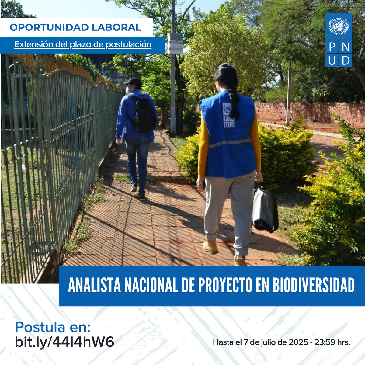 🔈#OportunidadLaboral | Invitamos a todas las personas interesadas a postularse al cargo de Analista Nacional de Proyecto en Biodiversidad

Consulta todos los detalles de la #convocatoria en: bit.ly/44l4hW6

👉 Postúlate hasta el 07/07/2025 - 23:59 hrs