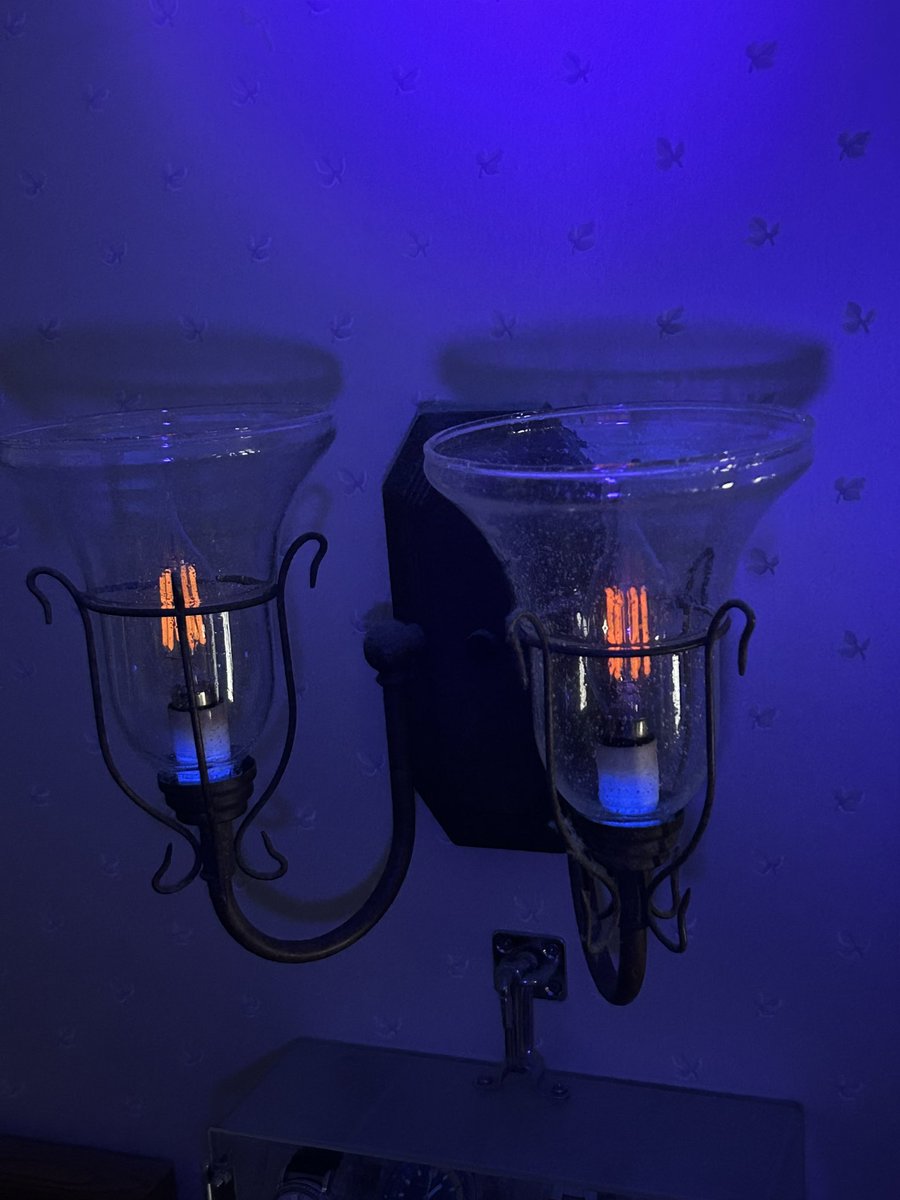 Hu0fgP's tweet photo. LED電球にブラックライト当てると光るじょ‼️
#LED電球 #ブラックライト
#LEDbulbs #Blacklights https://t.co/M3BKIAO6Ds