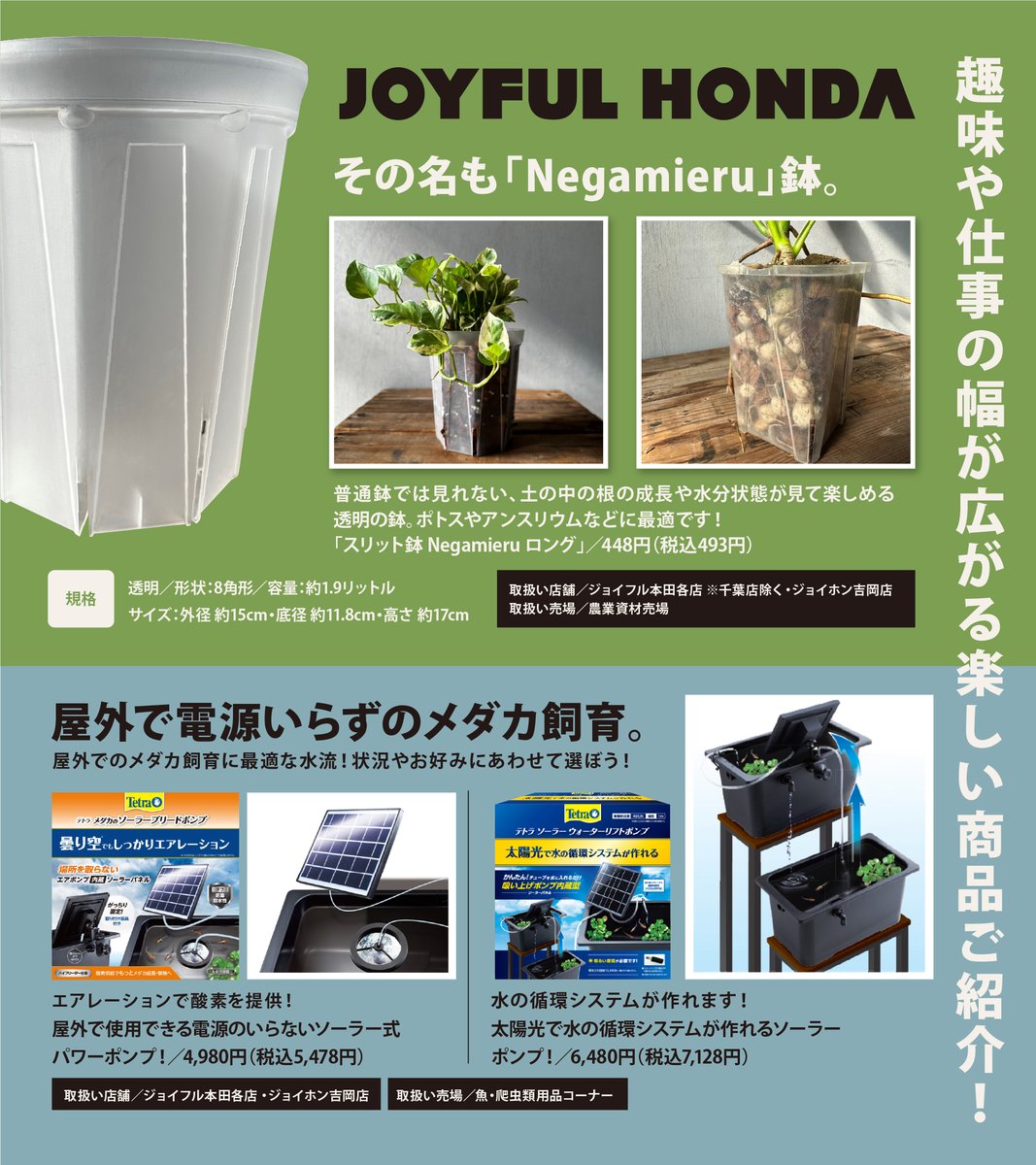 お客様から教えていただいた わくわくする楽しい商品ご紹介😊 ①土の中