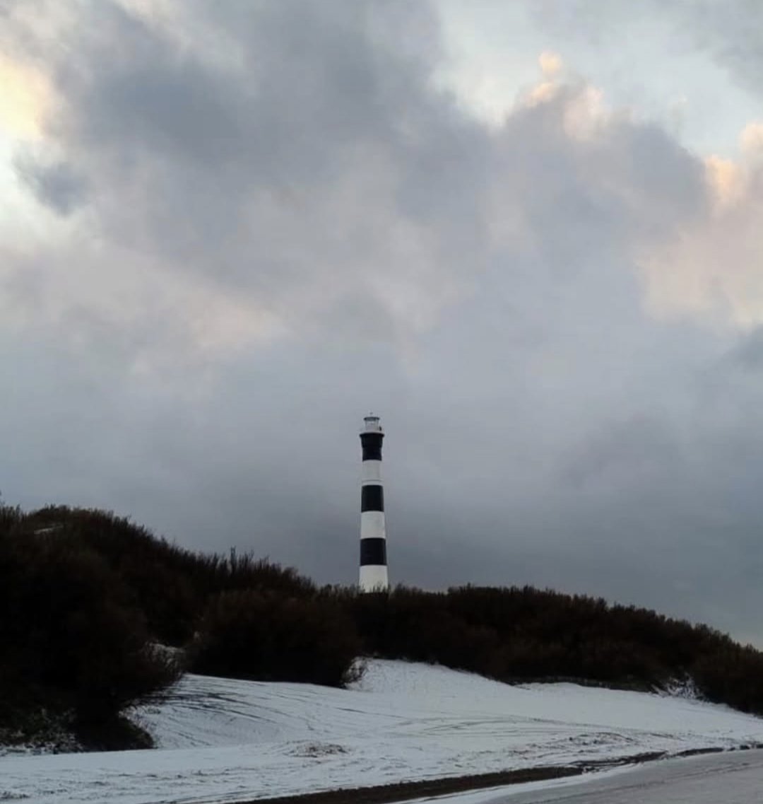 Juan Di Loreto tweet media